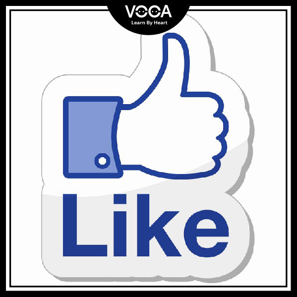 EXPRESSIONS ABOUT LIKES AND DISLIKES